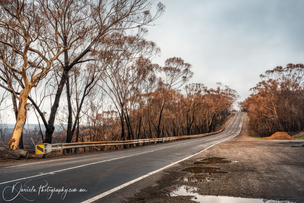 Australian Bushfire Dec2019 Bilpin nsw9